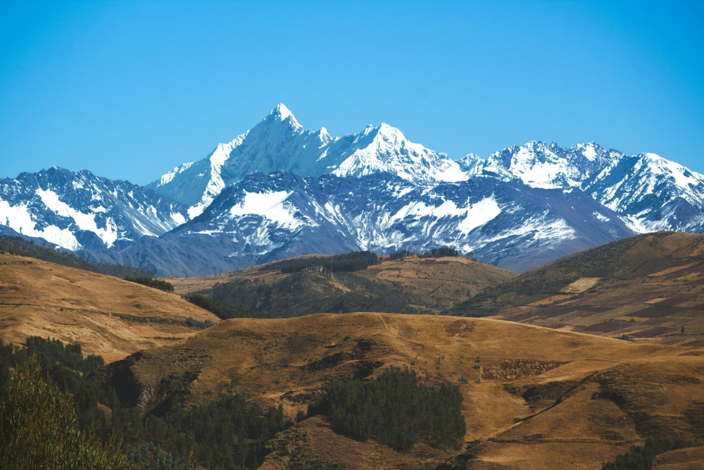 November Climate Positivity Report 2025